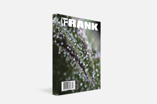 Special Edition: 420