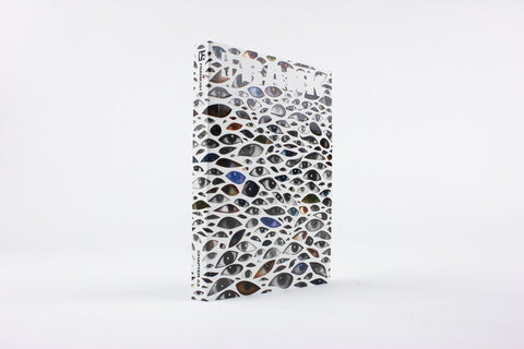 Chapter 43: Bug Out!